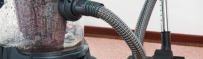 Carpet Cleaning
